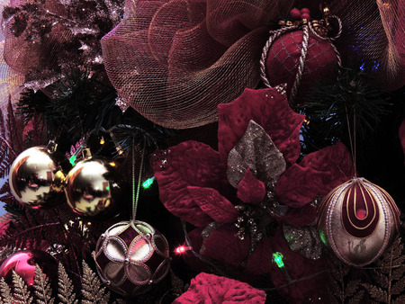 Navidad, Noche Buenaの写真素材