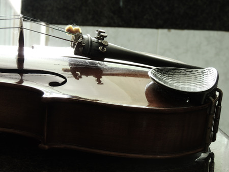 Violin, musical instrument stringsの写真素材