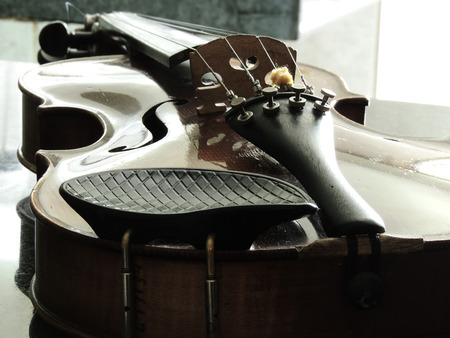 Violin, musical instrument strings