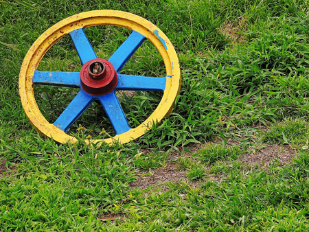 Cartwheel, detail in the Great Valleyの写真素材