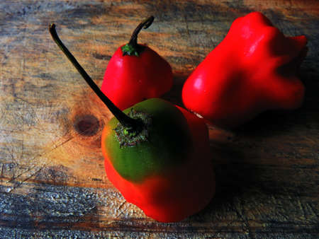Papikra Natural food for the kitchenの写真素材