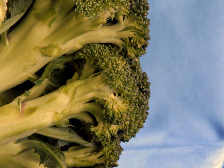 Broccoli, natural food for the kitchenの写真素材