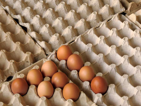 Eggs, food rich in vitamins and proteins for our consumption.