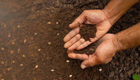preparing agricultural land with seeds for planting plantsの素材