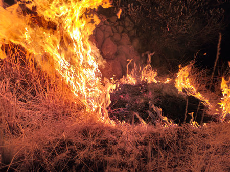 Intense night fire burning natural grasslands.の写真素材