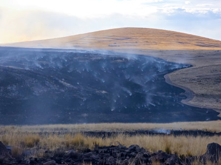 High Andean natural pastures after being burned by a forest fire.の写真素材