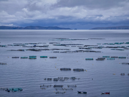 Panoramic view of fish breeding cages in the sea.の写真素材