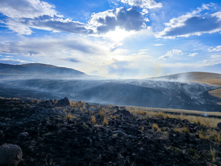 High Andean natural pastures after being burned by a forest fire.の写真素材