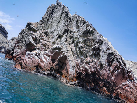 Island with birds and blue sky.の写真素材