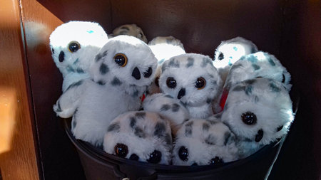 Stuffed owls ready to be given to childrenの写真素材