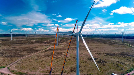 Wind generator in the process of generating electrical energy in a wind farm