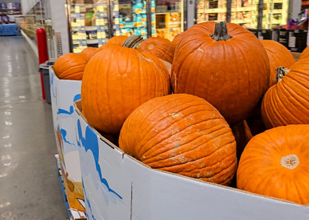 View of pumpkins and decorative objects for the Halloween holidayの写真素材