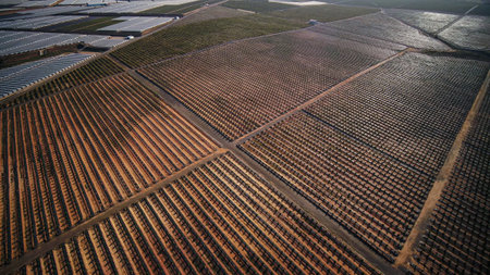 Agricultural field with crops in the process of growth and growth control