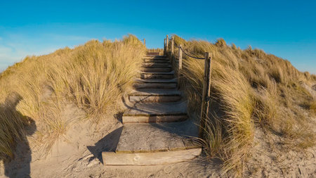 View of a path with wooden stairs at the edge of the beach and natural grass at sunsetの写真素材
