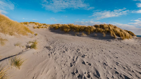 View of beaches with sand and plenty of natural grassesの写真素材