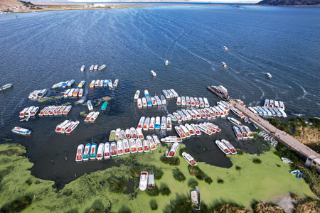 Aerial view of a lake bay with a pier and many boats anchored next to reedsの写真素材
