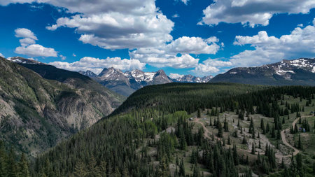 Aerial view of pine forests near mountain ranges on a sunny dayの写真素材