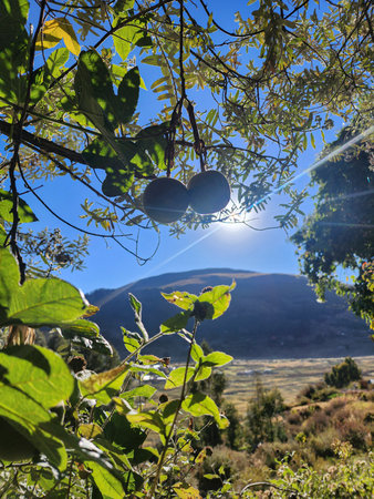 gardens in high Andean valleys in springtime