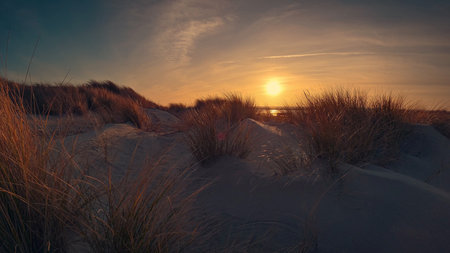 Beautiful sunset seen from a beach with lots of sand and natural grasses