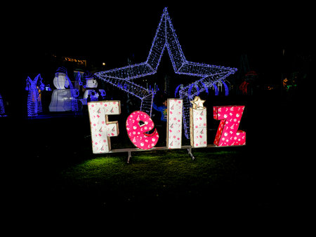 View of Christmas-themed decorations for parks and gardens in LED lights