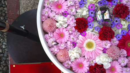 Decoration with multicolored flowers in the reception room