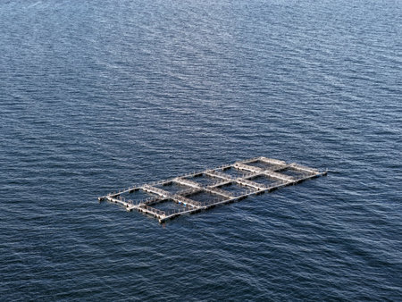 trout farming process in cages installed in lakes