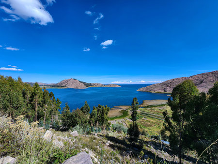 Panoramic view of a lake bay next to eucalyptus forests and meadowsの写真素材