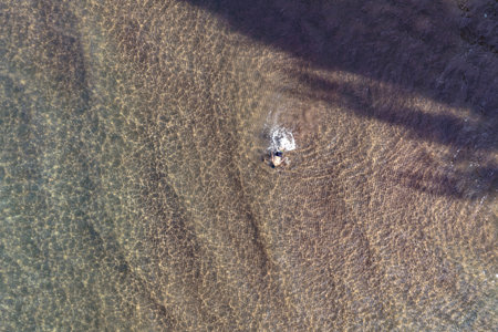 Aerial view of shallow water with a man swimming