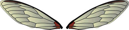 Wingsのイラスト素材