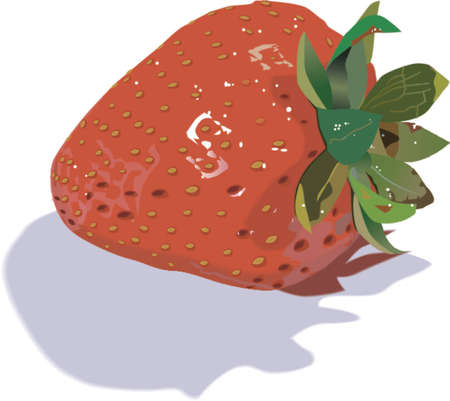 Strawberryのイラスト素材