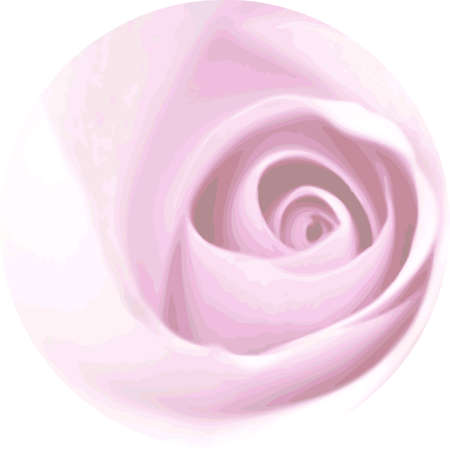 Rose Discのイラスト素材