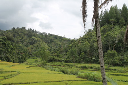 The view of mamasaの写真素材