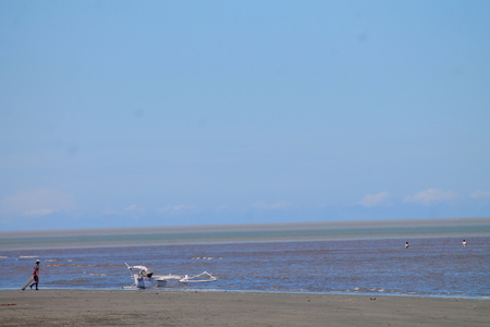 Fisherman in the beachの写真素材
