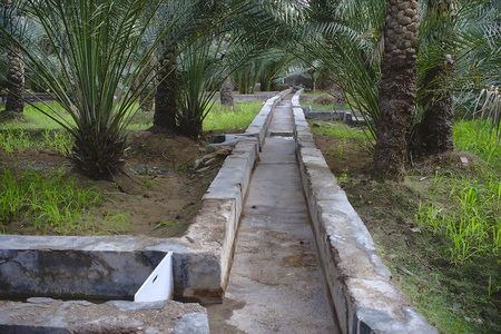 watering system in al ain oasisの写真素材