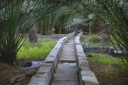 watering system in al ain oasisの写真素材