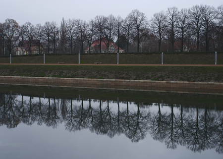 Trees of an alley mirrored in a nearby riverの写真素材