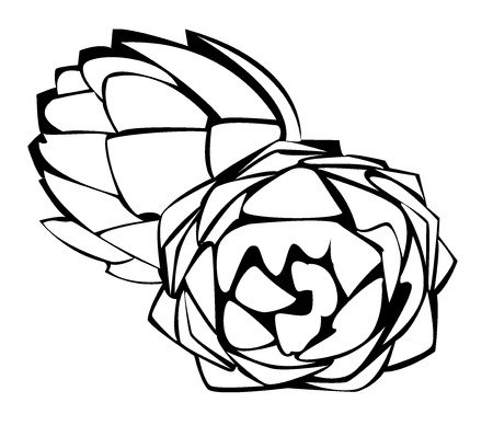 Black and white illustration of artichokesのイラスト素材