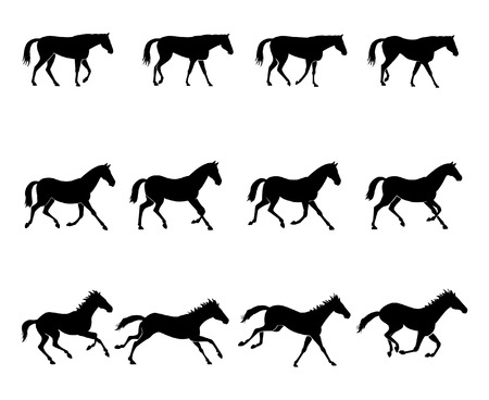 The three natural gaits of the horses. First row: WALK  Second row: TROT  Third row: GALLOPのイラスト素材