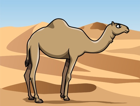 Cartoon-style illustration: a cute dromedary in the desert. Dunes on the backgroundの写真素材
