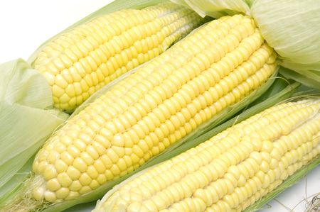 Raw fresh sweet corns.