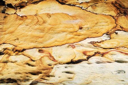 Sea stack pattern of Bako National Park, Sarawak.の写真素材