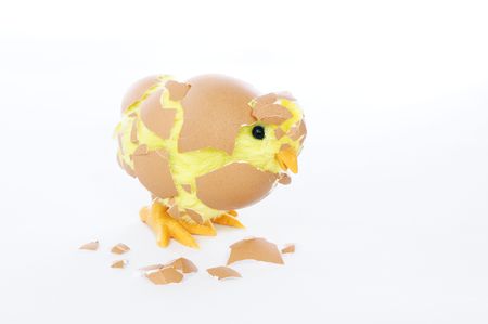 Toy chick breaking out of eggshell on white background.の写真素材