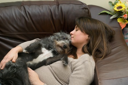 a pretty young woman asleep with her scruffy dog 