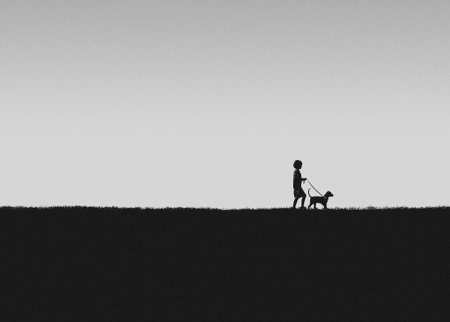 A Boy Walking his Dogの写真素材