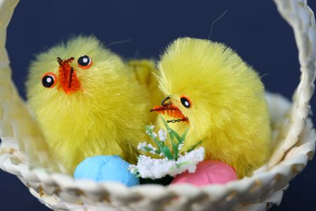 two fluffy chicks in a basket