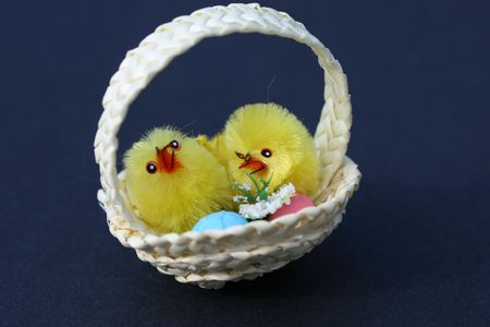 two chicks in a basket