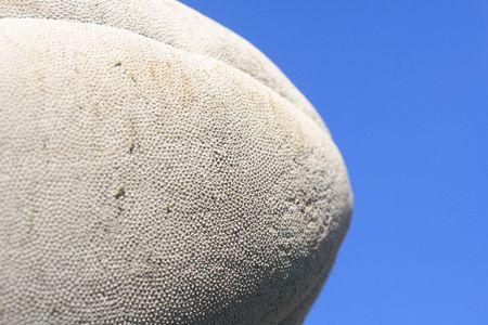 rugby ballの写真素材