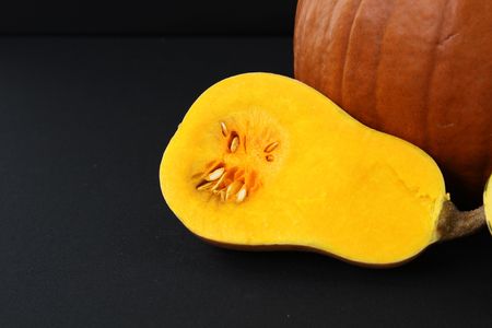 squashの写真素材