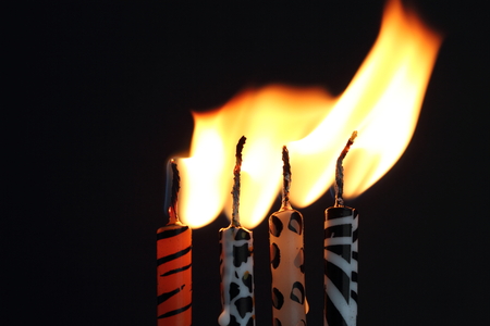 Animal print candlesの写真素材