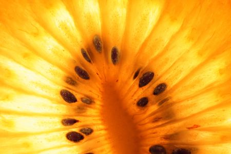 Gold Queen Kiwi Slice の写真素材